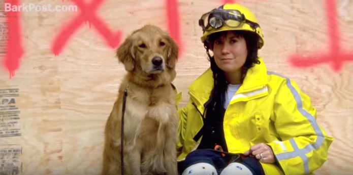 You Have To Watch This Incredibly Heartwarming Story Of The Last Surviving 9/11 Rescue Dog