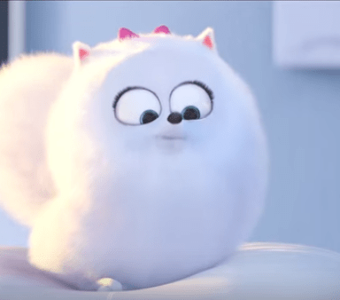 This Incredibly Cute Movie Trailer Shows Us The Secret Life Of Pets