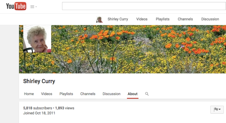 Youtube.com / Shirley Curry
