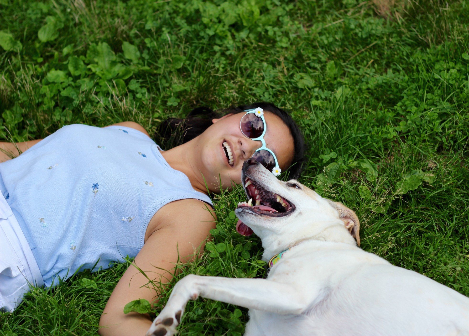 14 Ways Your Dog Is Better Than Any Boyfriend You ll Ever Have 