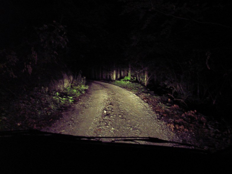 Flickr / Taco Witte