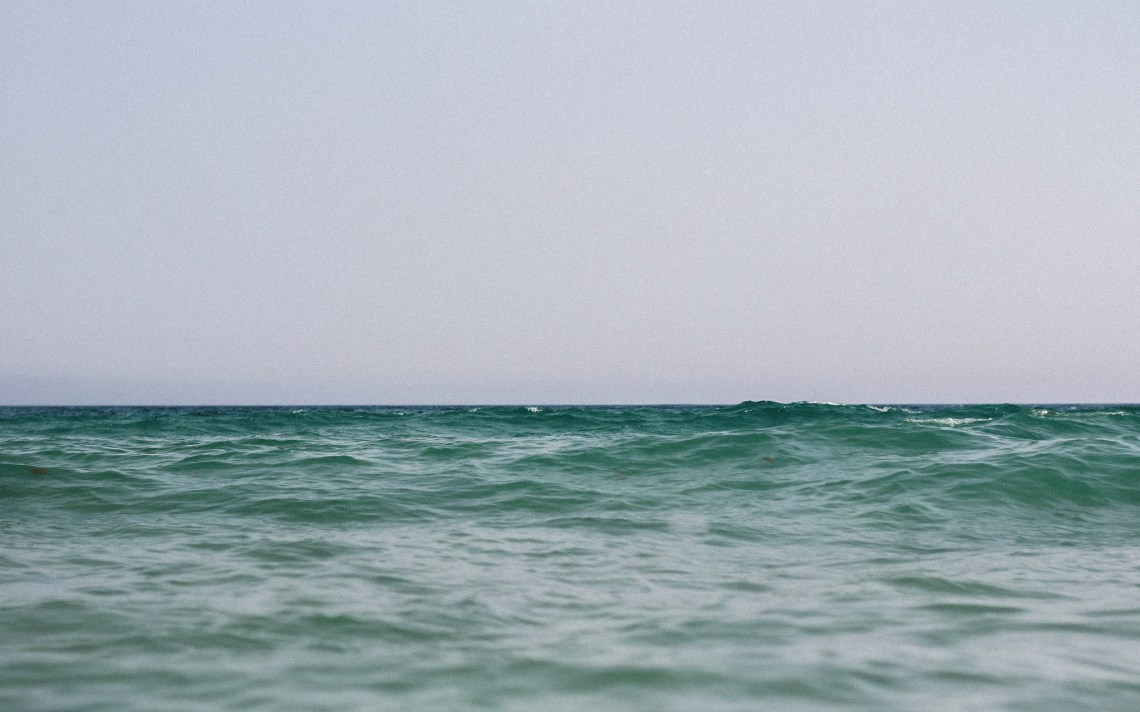 Flickr / Leo Hidalgo