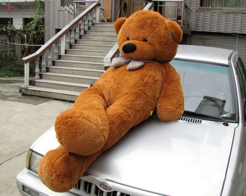 teddy bear car