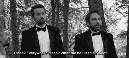 It's Always Sunny In Philadelphia