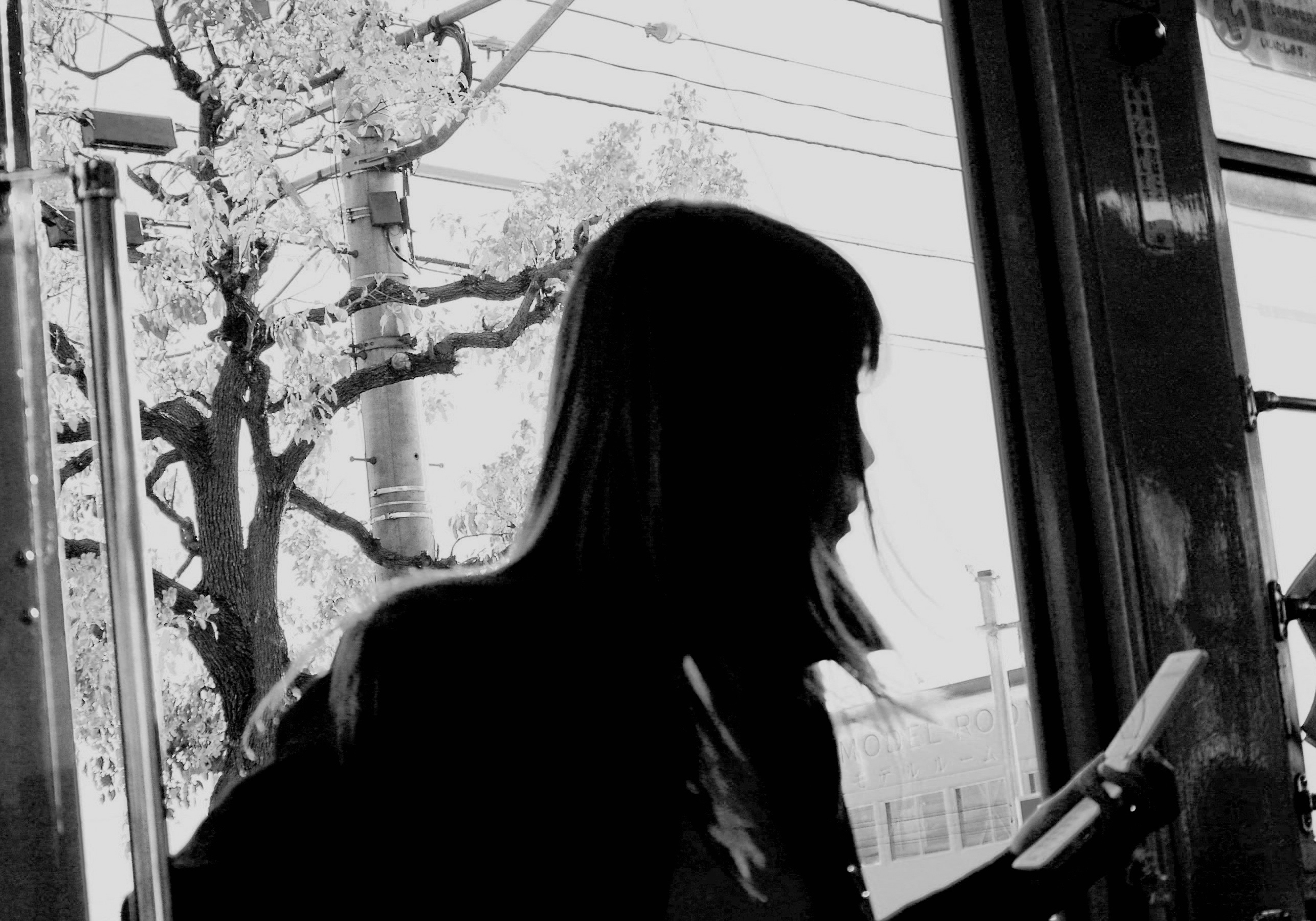 Breville polyscience picture