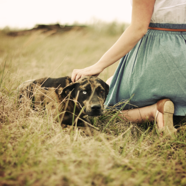 8 More Reasons To Love Dating A Dog Owner