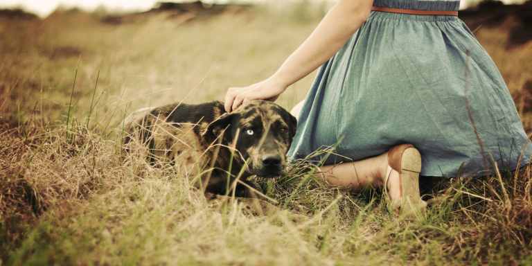 8 More Reasons To Love Dating A Dog Owner