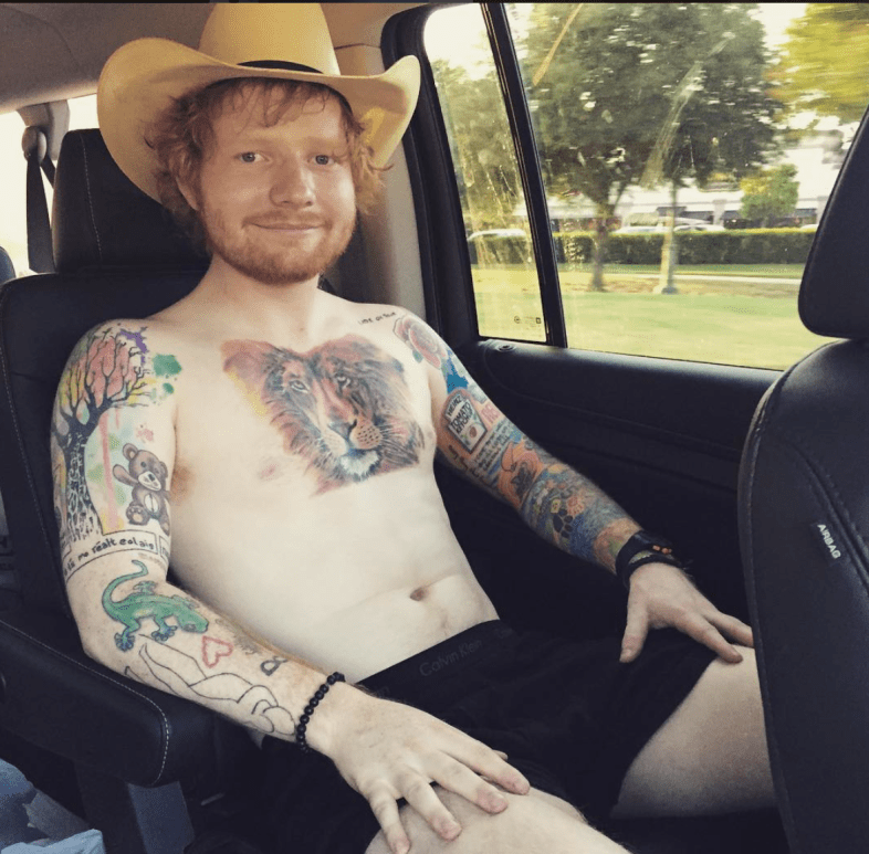 teddysphotos