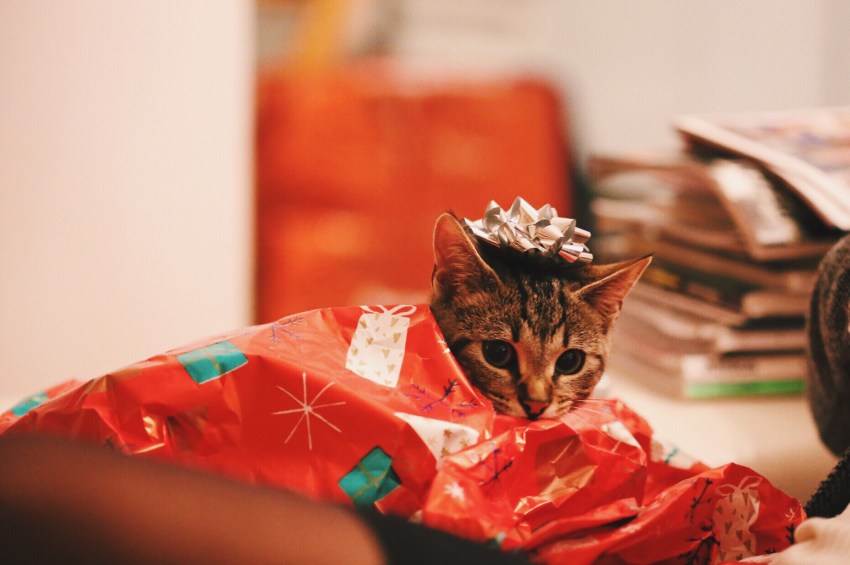 Guys, Here’s The Best Gift-Giving Guide For The Girl You Just Started Dating