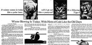 winter 1976 nyt
