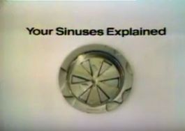 your sinuses explained