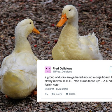10 Tweets About Ducks That Will Make You Laugh Right Now