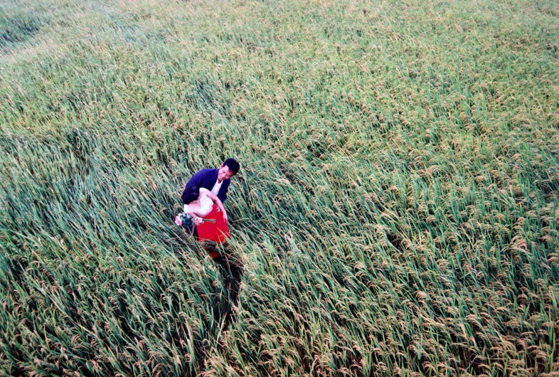 Khánh Hmoong