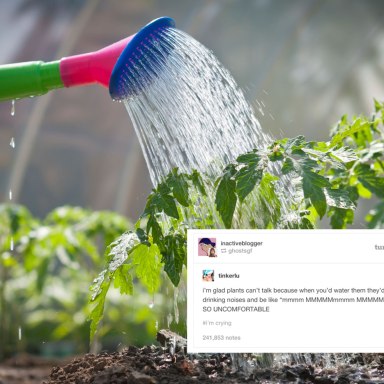 27 Times Tumblr Dared To Make A Joke