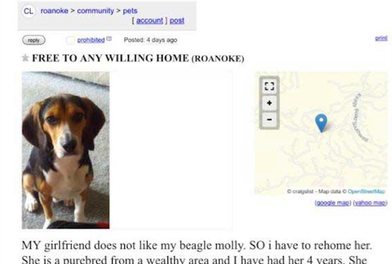 Girlfriend Orders Man To Get Rid Of His Dog, So He Posted This Craigslist Ad That Will COMPLETELY Solve The Problem