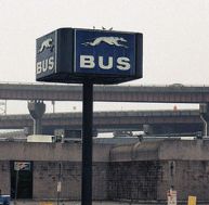 albany bus
