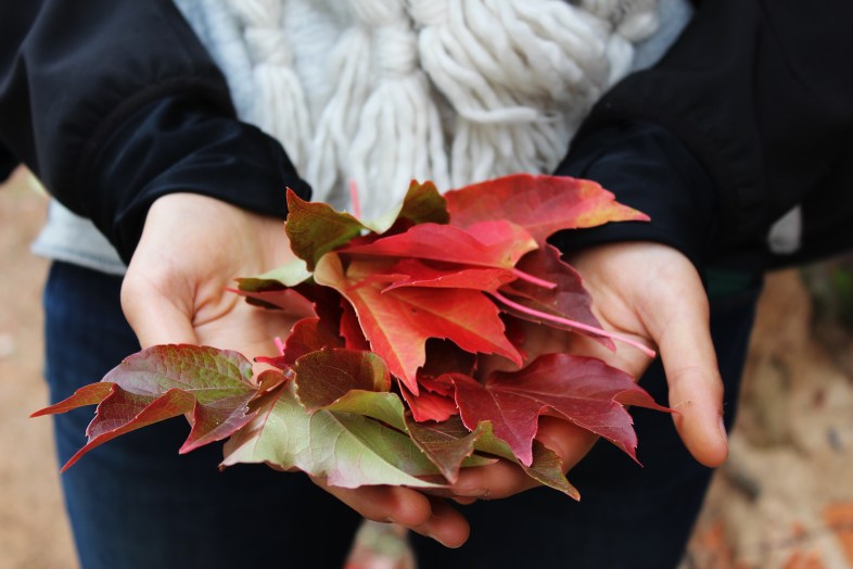 Image Unsplash