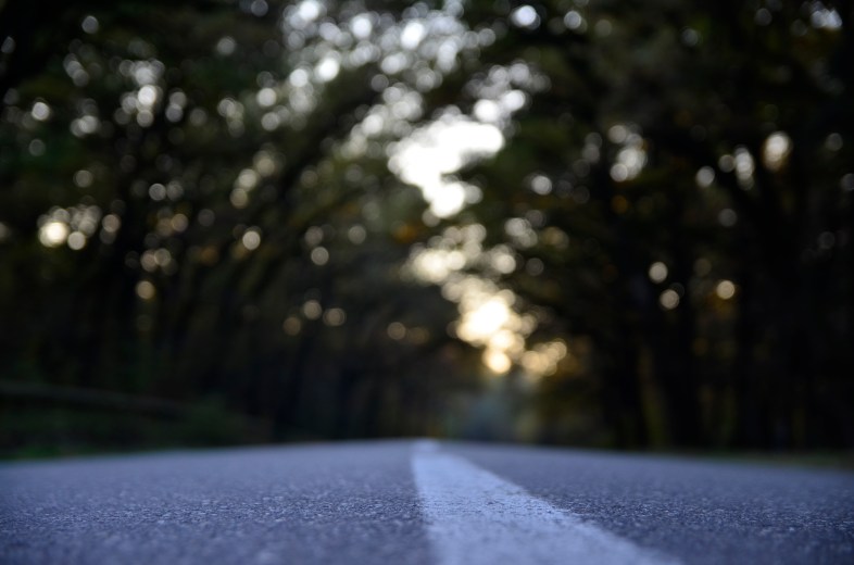 Image Unsplash
