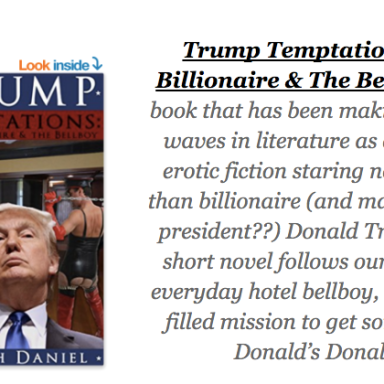 The 11 Sluttiest Lines From The Incredible Donald Trump Erotic Fiction Book