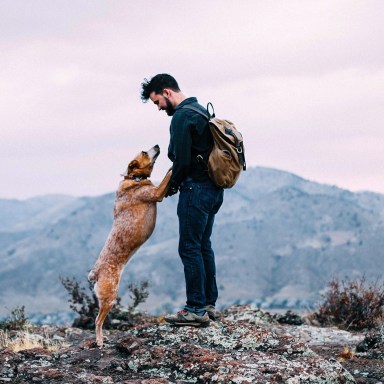 10 Things Only Someone Who Has Lost A Dog (And Their Best Friend) Understands