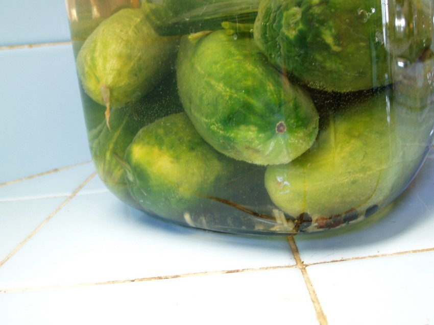 10 Unconventional Items You Never Would Have Suspected Were Used In Cold Blooded Murder (But Totally Were)