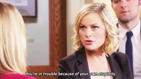 23 Times Leslie Knope Perfeclty Summed Up Your Life As An ESFJ ...