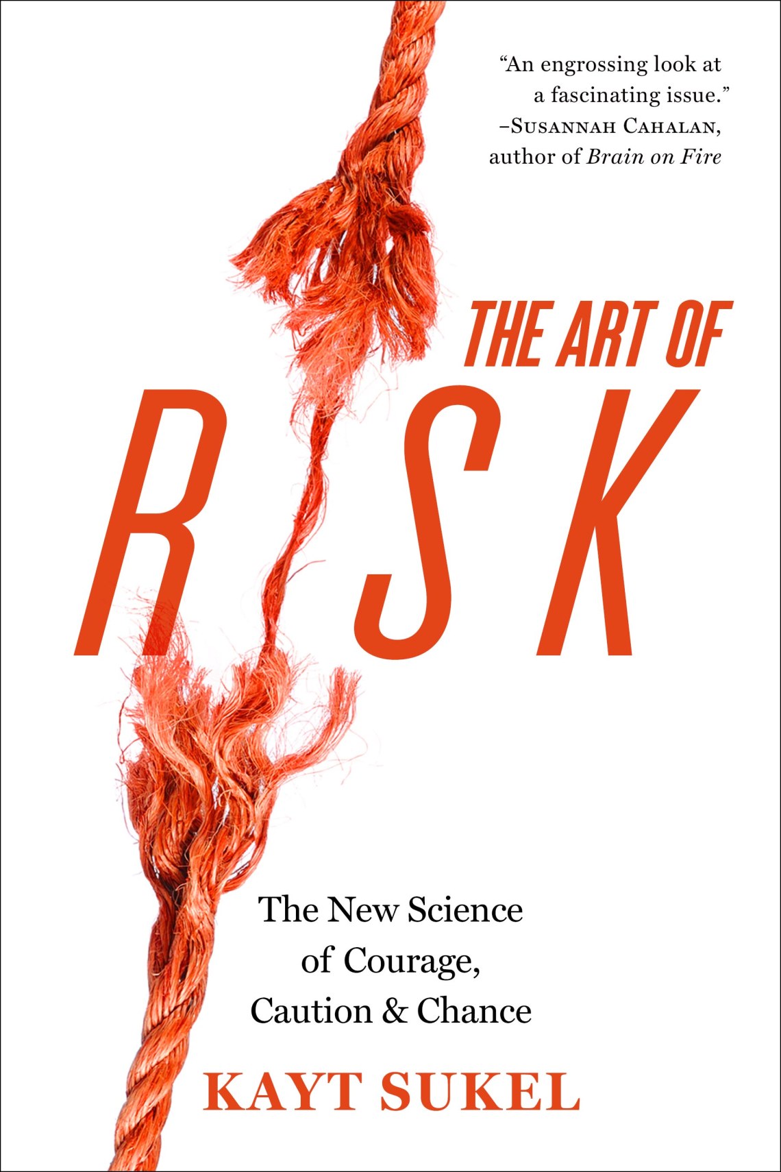 The Art Of Risk