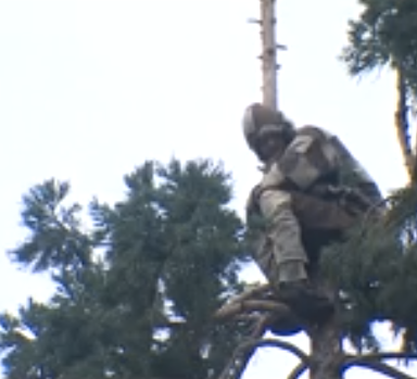 Everything You Need To Know About The #ManInTree Viral Sensation Who’s Been Holding Seattle ‘Hostage’
