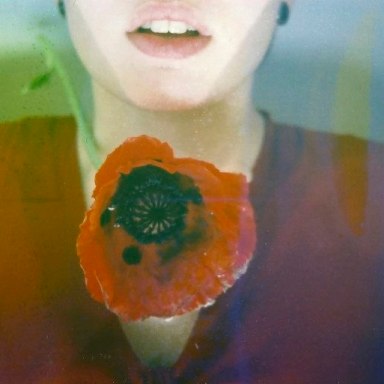 I Am A Flower Tangled In The Weeds