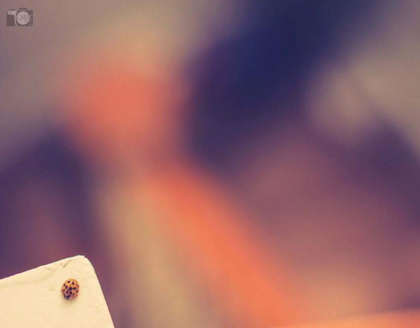 21 Signs You’re Obviously A Serial Monogamist