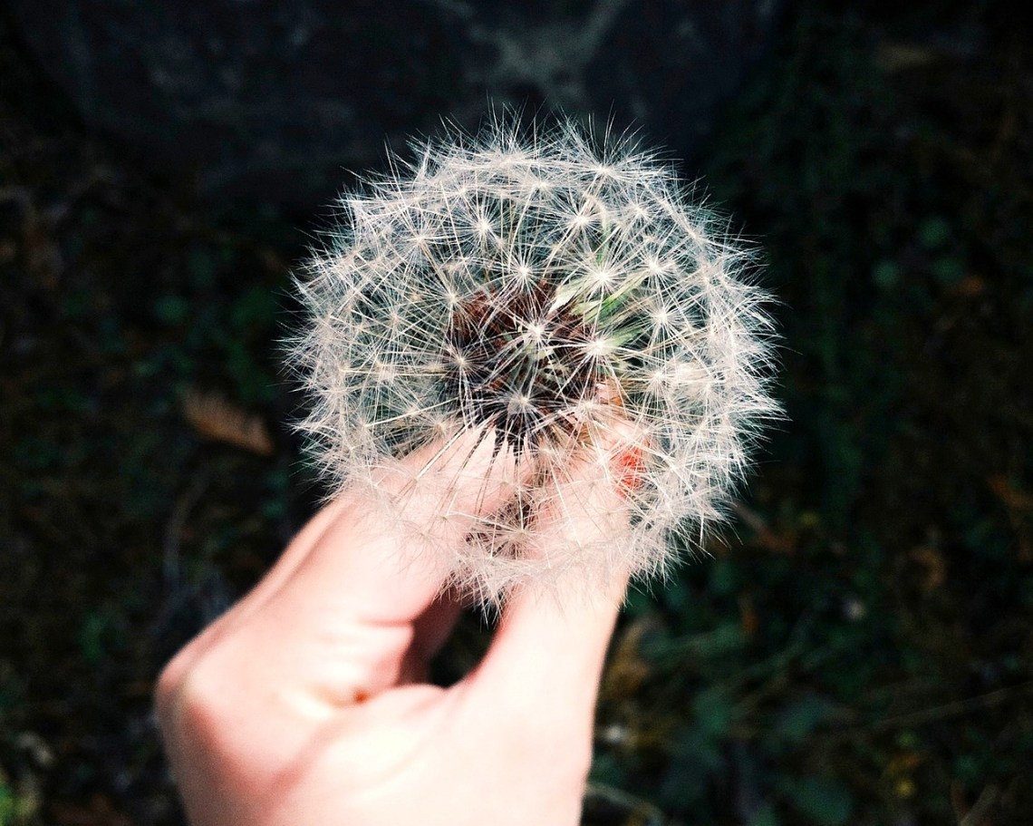 Unsplash