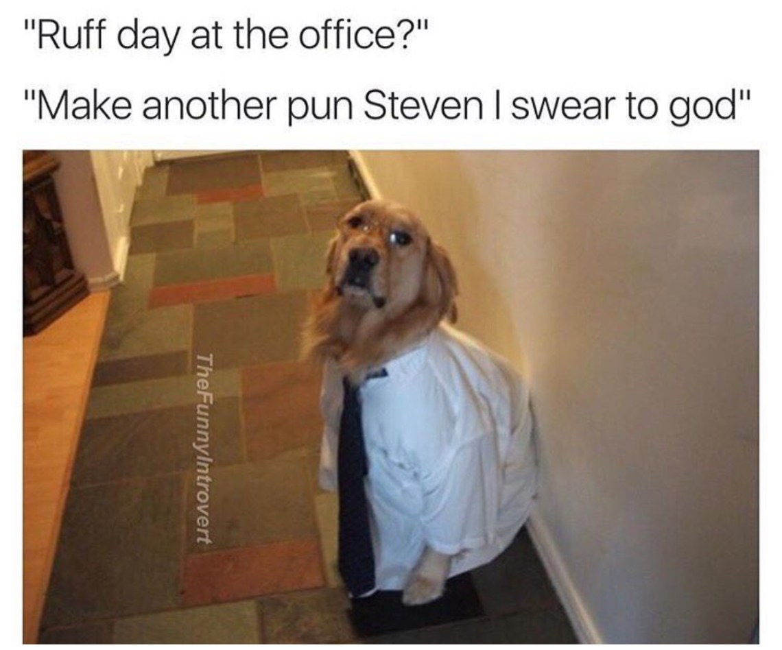 62 Adorable Dog Memes That Will Make You Laugh All Damn Day Thought Catalog 62 Adorable Dog Memes That Will Make You Laugh All Damn Day Thought Catalog