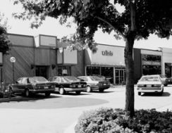 Manhasset 1978