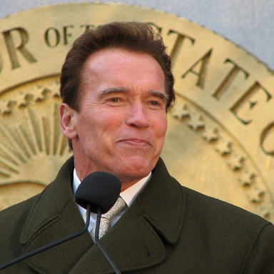 20 Motivational Arnold Schwarzenegger Quotes On Life And Creating Success