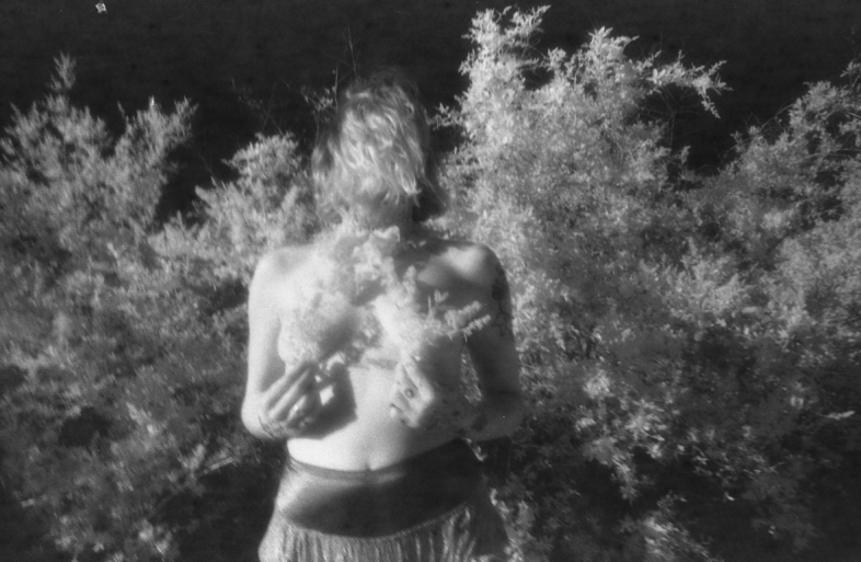 Brandy Eve Allen