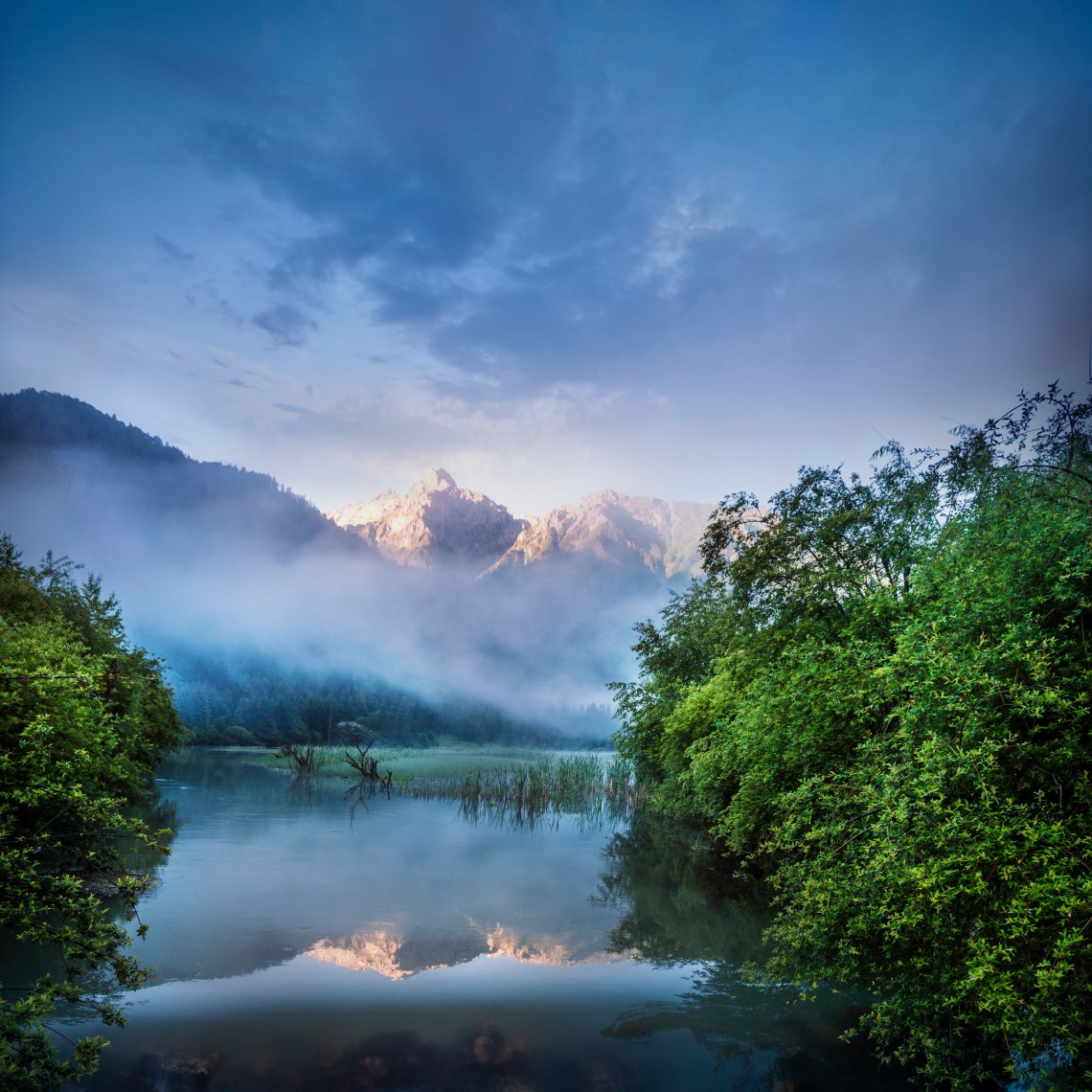 iStockPhoto.com / Li Jingwang