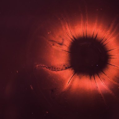 My Mother Started Acting Strange After I Got My Period, And Now I Know The Grisly Reason Why