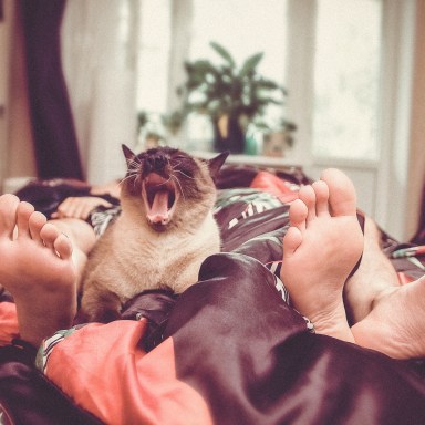 16 People On Their Favorite Thing That Their Partner Does In The Morning