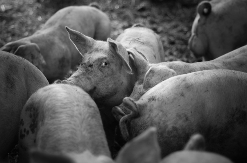 Most People Think My Cousin Committed Suicide, Only I Know The Grisly Truth