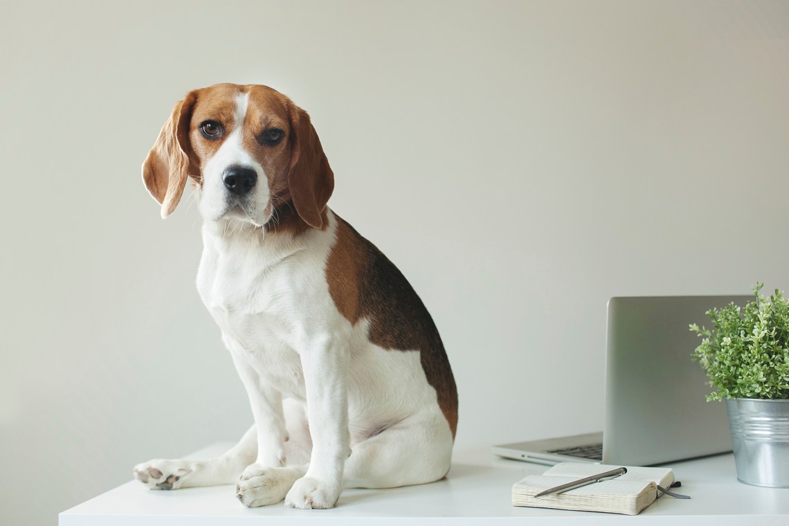 iStockPhoto.com / Katie Martynova