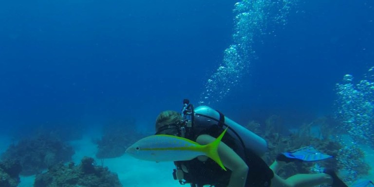 Here Are The 7 Emotional Stages Of Your First Scuba Diving Experience