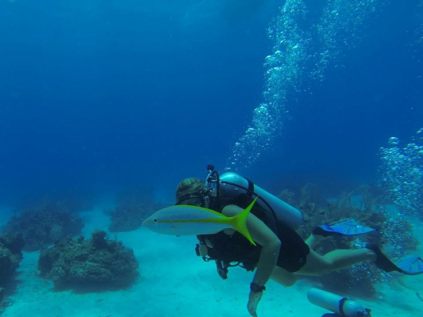 Here Are The 7 Emotional Stages Of Your First Scuba Diving Experience