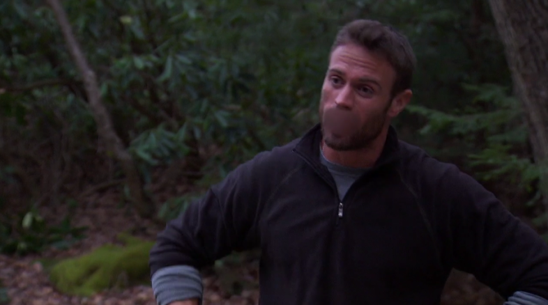 The Bachelor