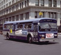 1979 bus