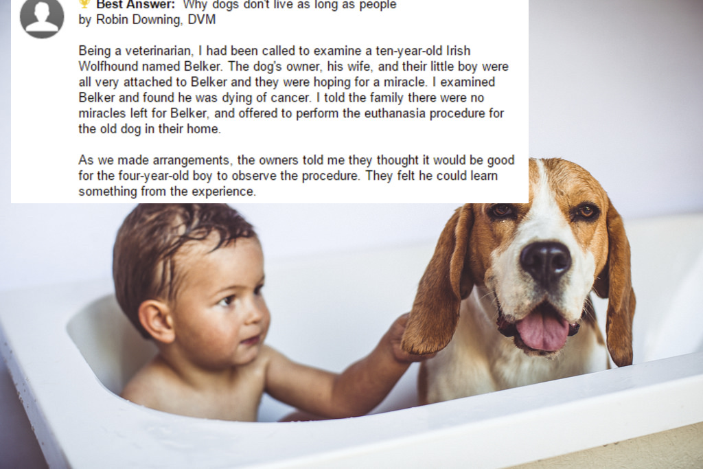 This Little Boy Shares His Tearjerking Theory About Why Dogs Don’t Live