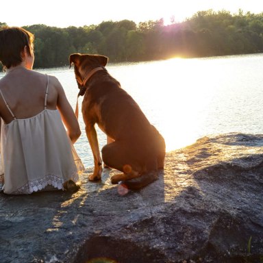 14 Indisputable Reasons Why Dogs Are Superior To Human Beings