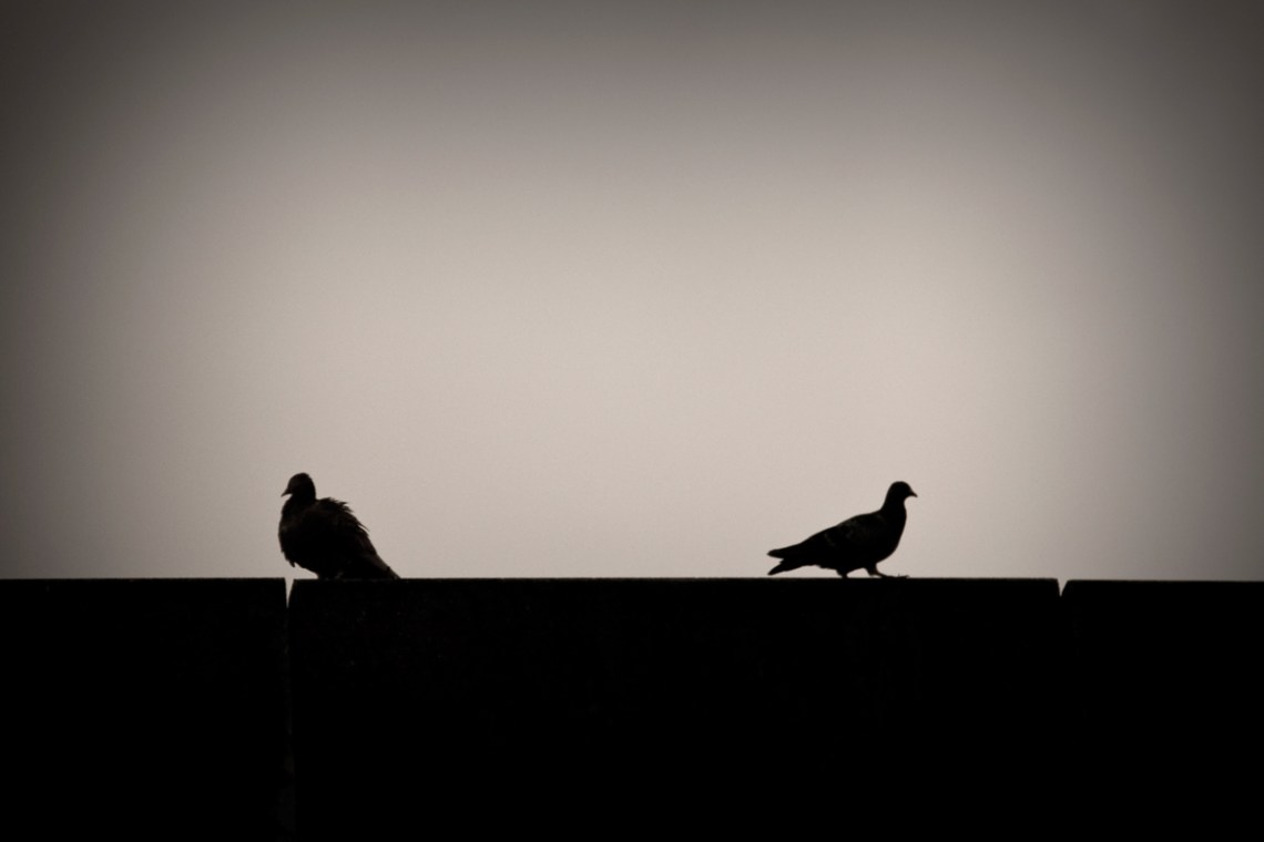 Flickr / jiunn kung too