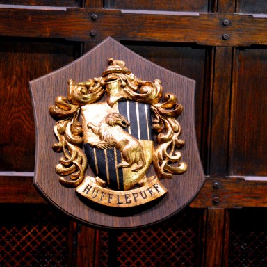 Why Being A Hufflepuff Is Actually The Best
