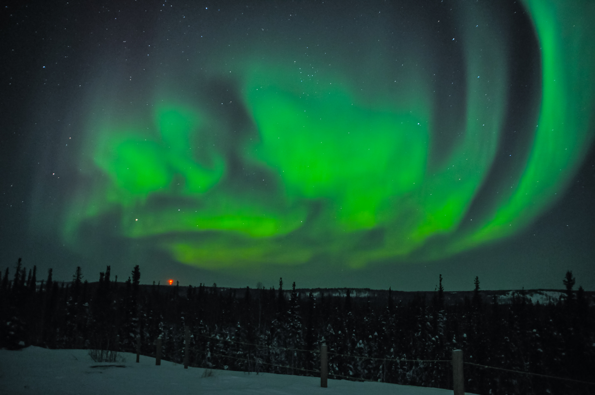 северное сияние в городе сыктывкар. северное сияние кодиак. хор северное сияние. дочь северного сияния лондон. дочь северного сияния лондон.