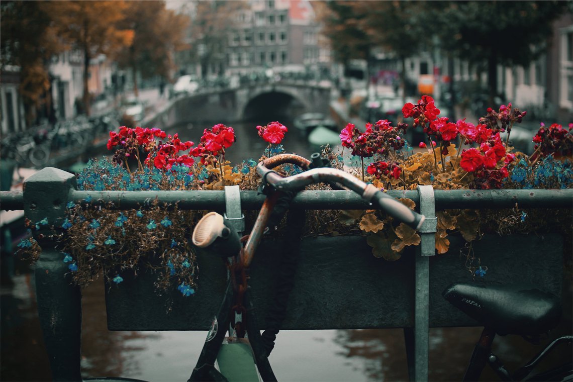 unsplash.com